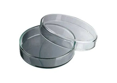 CAJA PETRI PYREX 100X20 3160-102